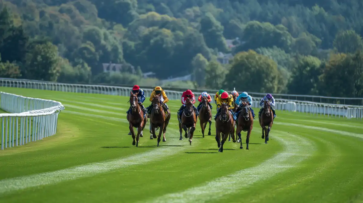 BetWright_Editorial_HorseRacing_002