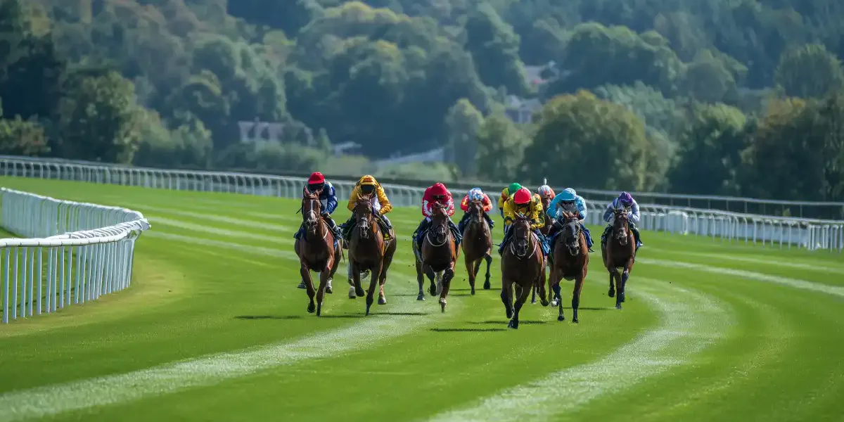 BetWright_Editorial_HorseRacing_002