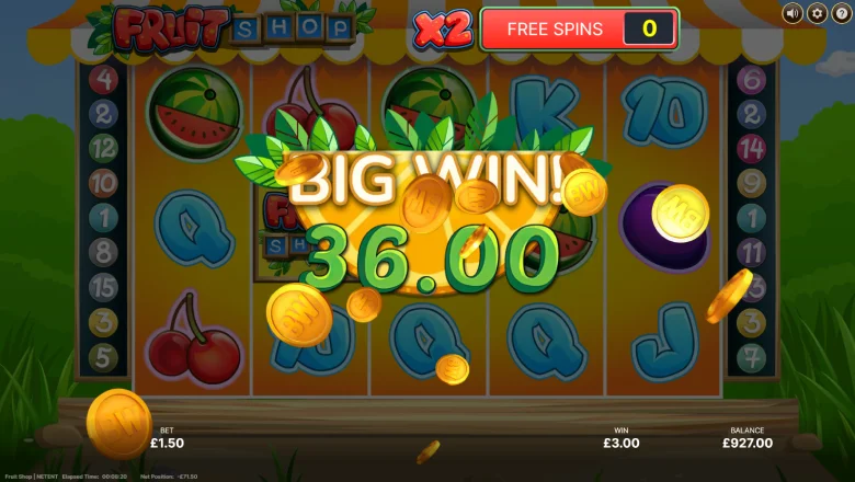 Fruit Shop Big Win