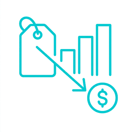 Pricing strategy & margin optimization