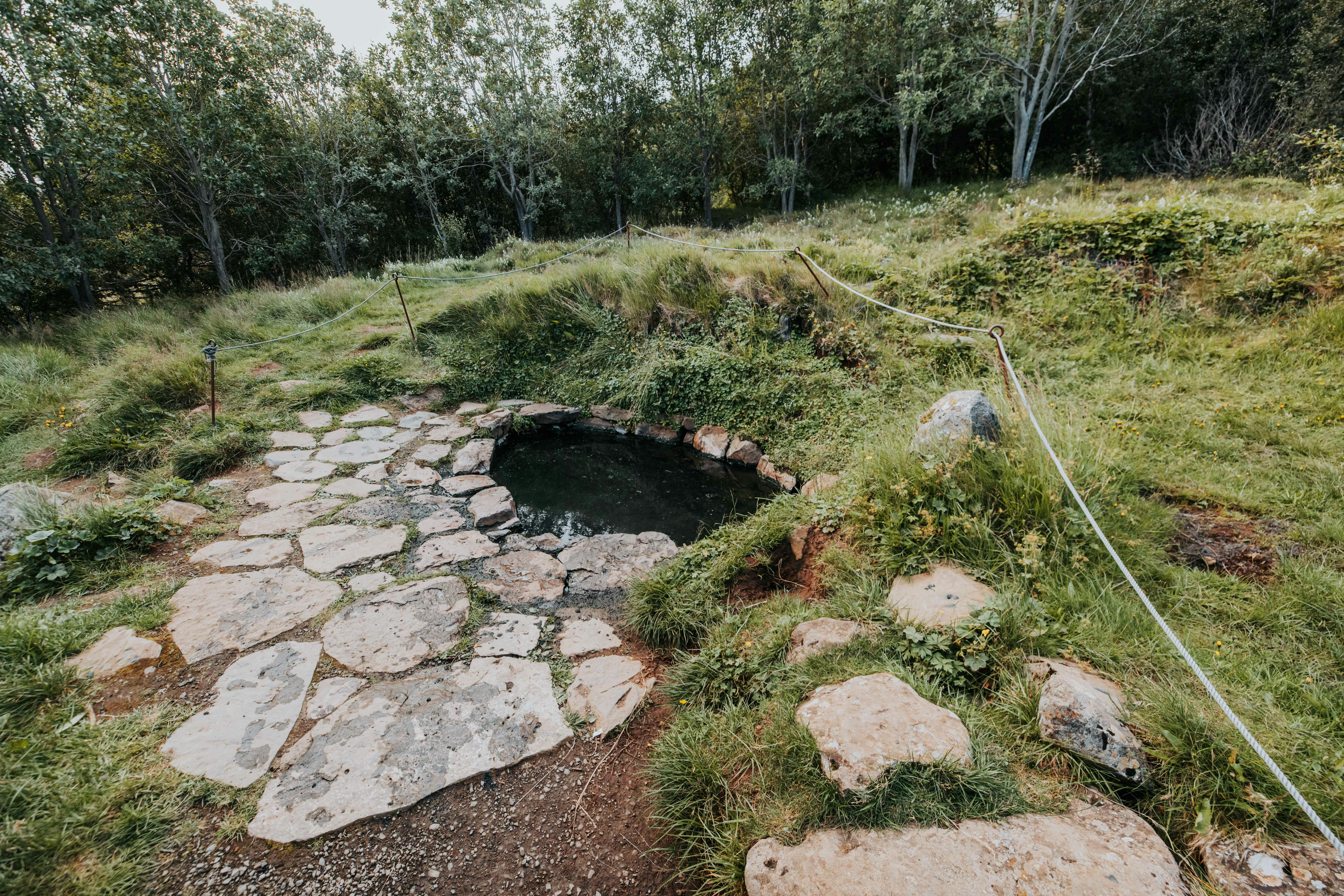 Blog image