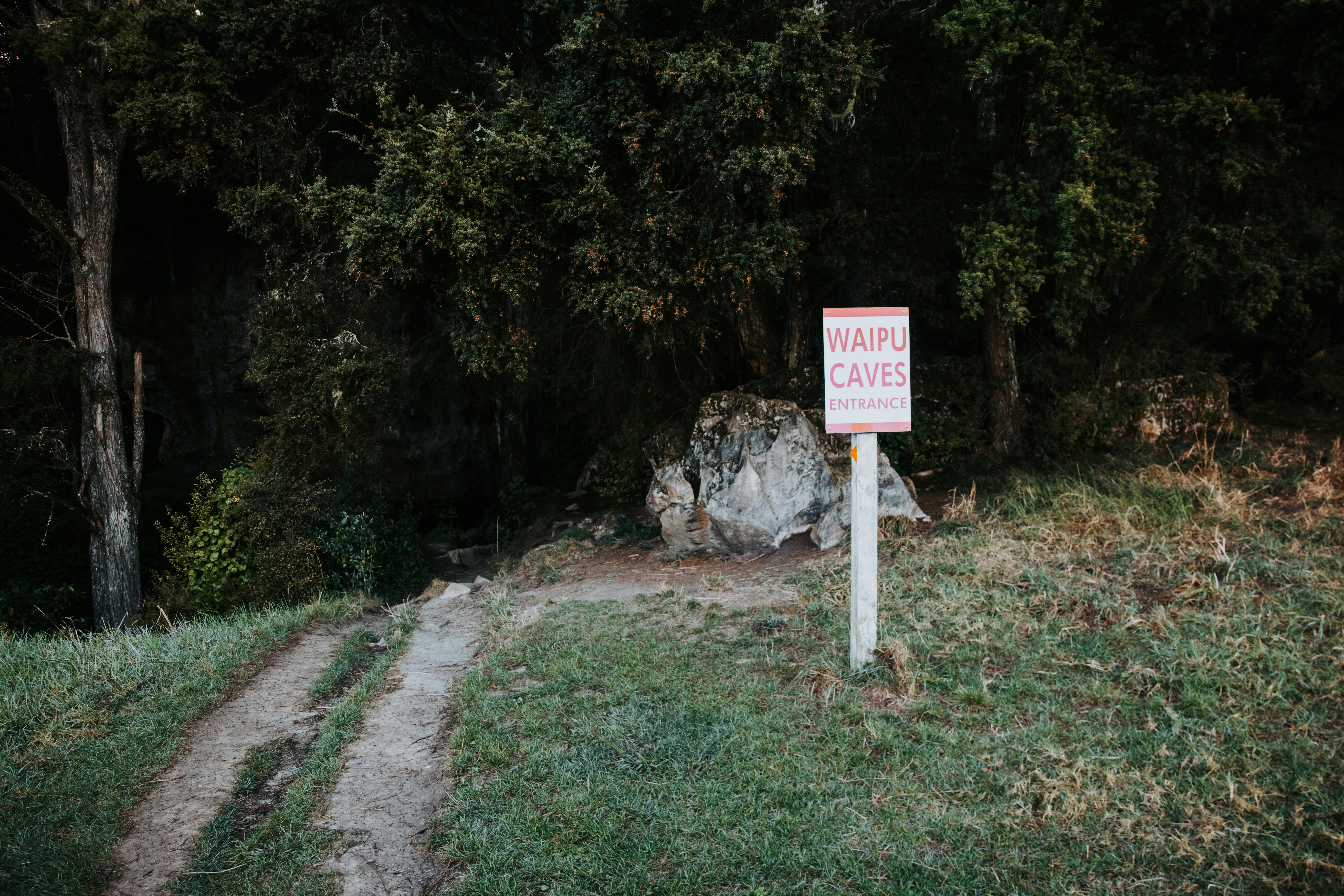 Blog image
