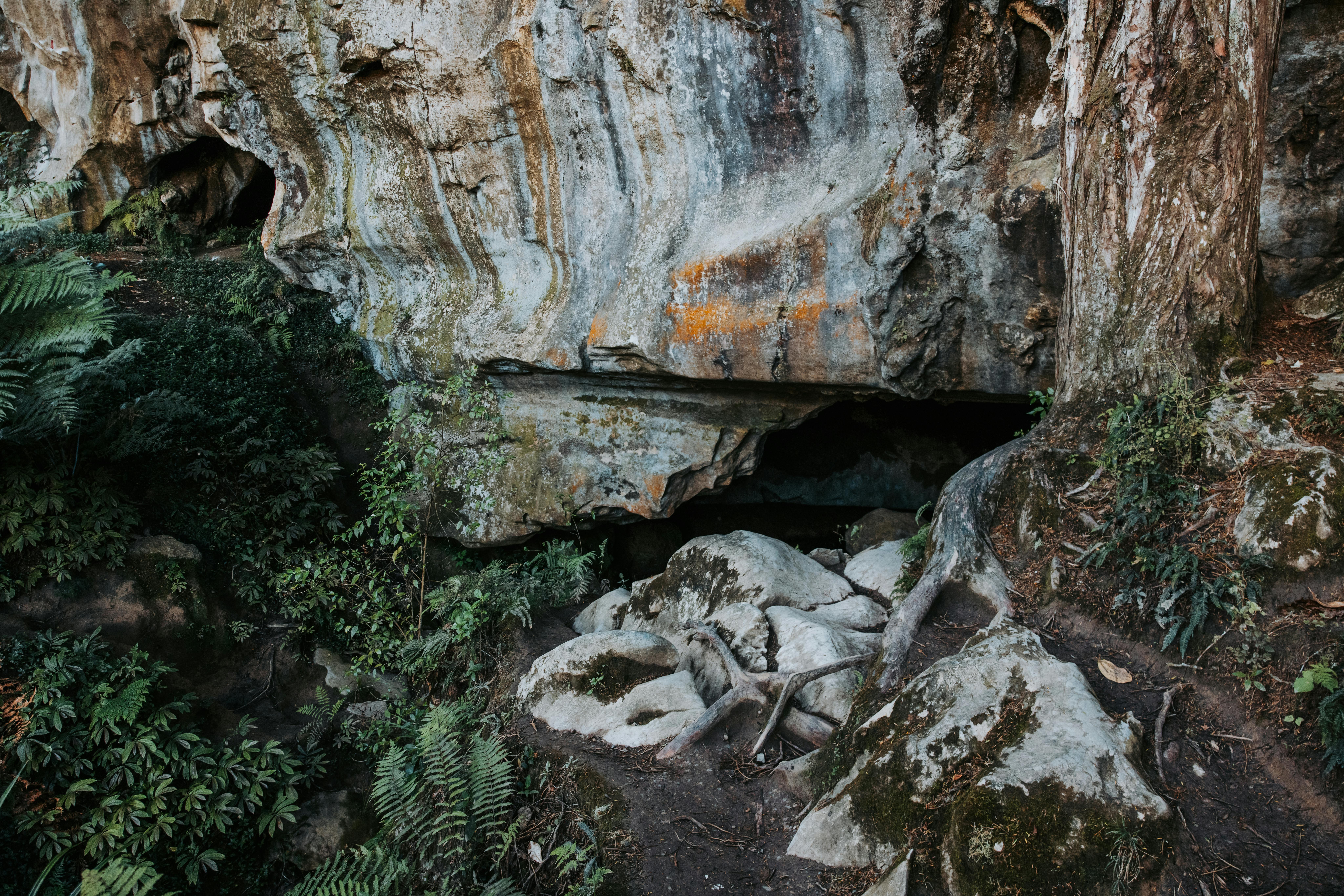 Blog image