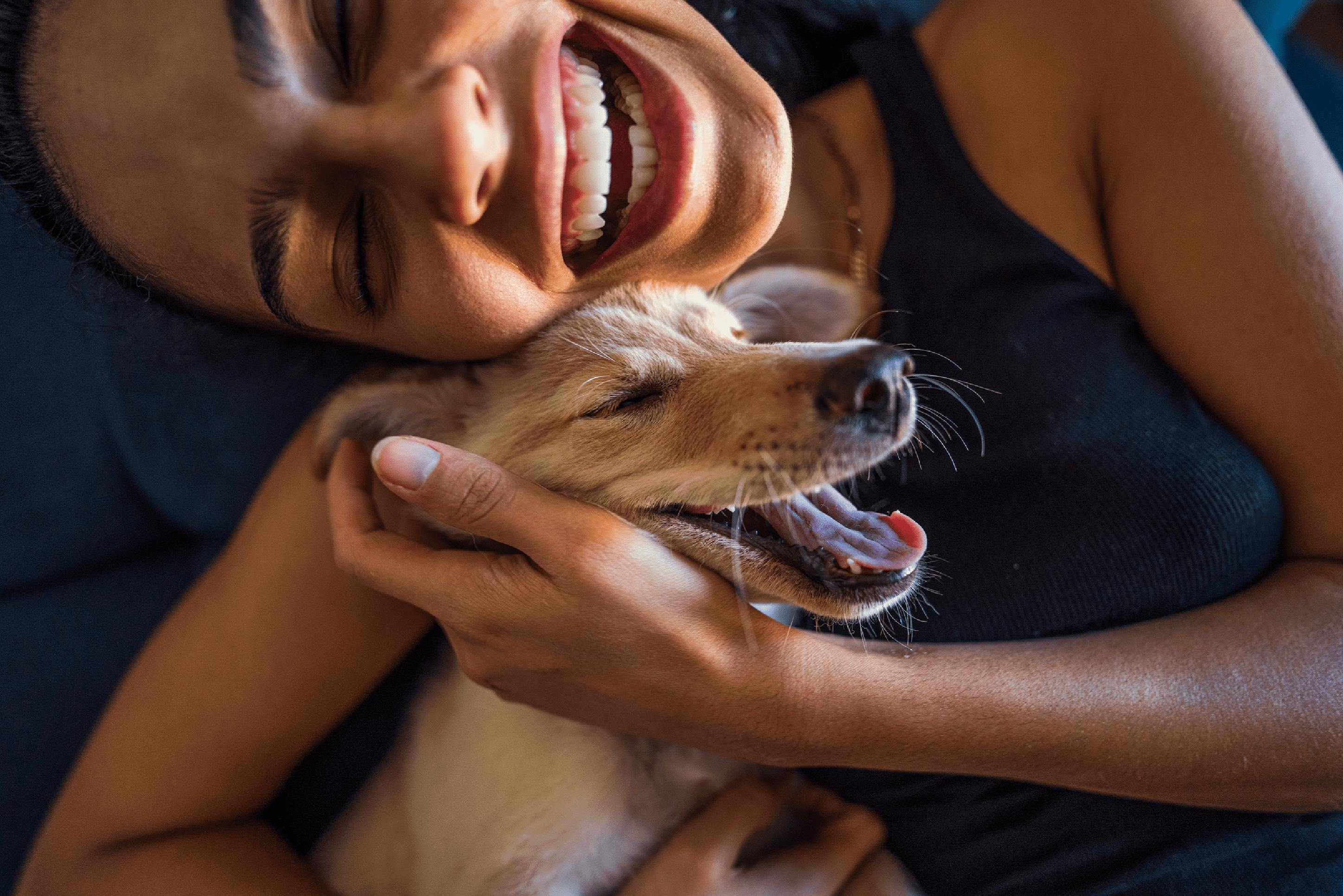 Combien coûte un animal de compagnie ? 