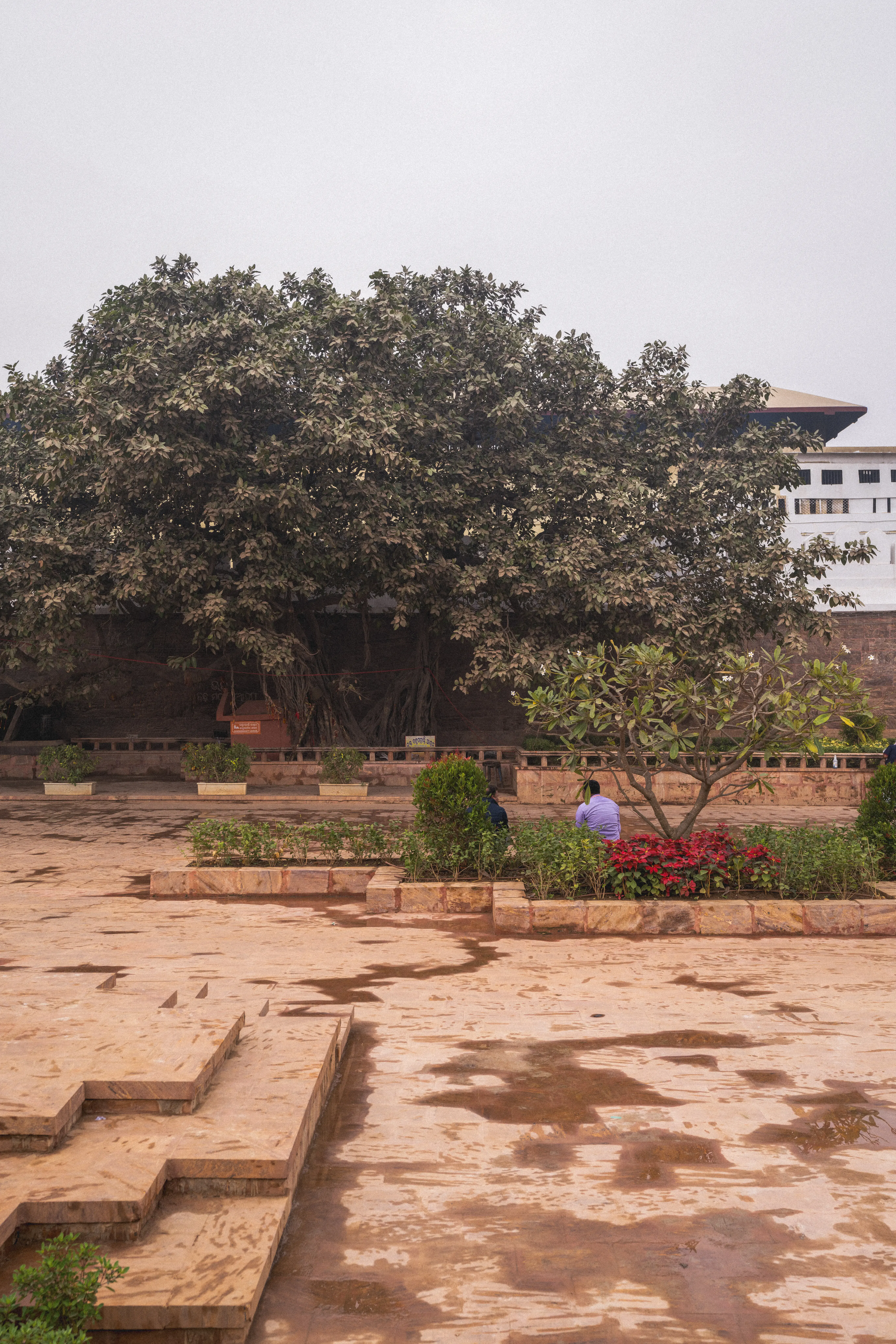 LANDSCAPE PLAZA AND SEATING/ REST AREAS
