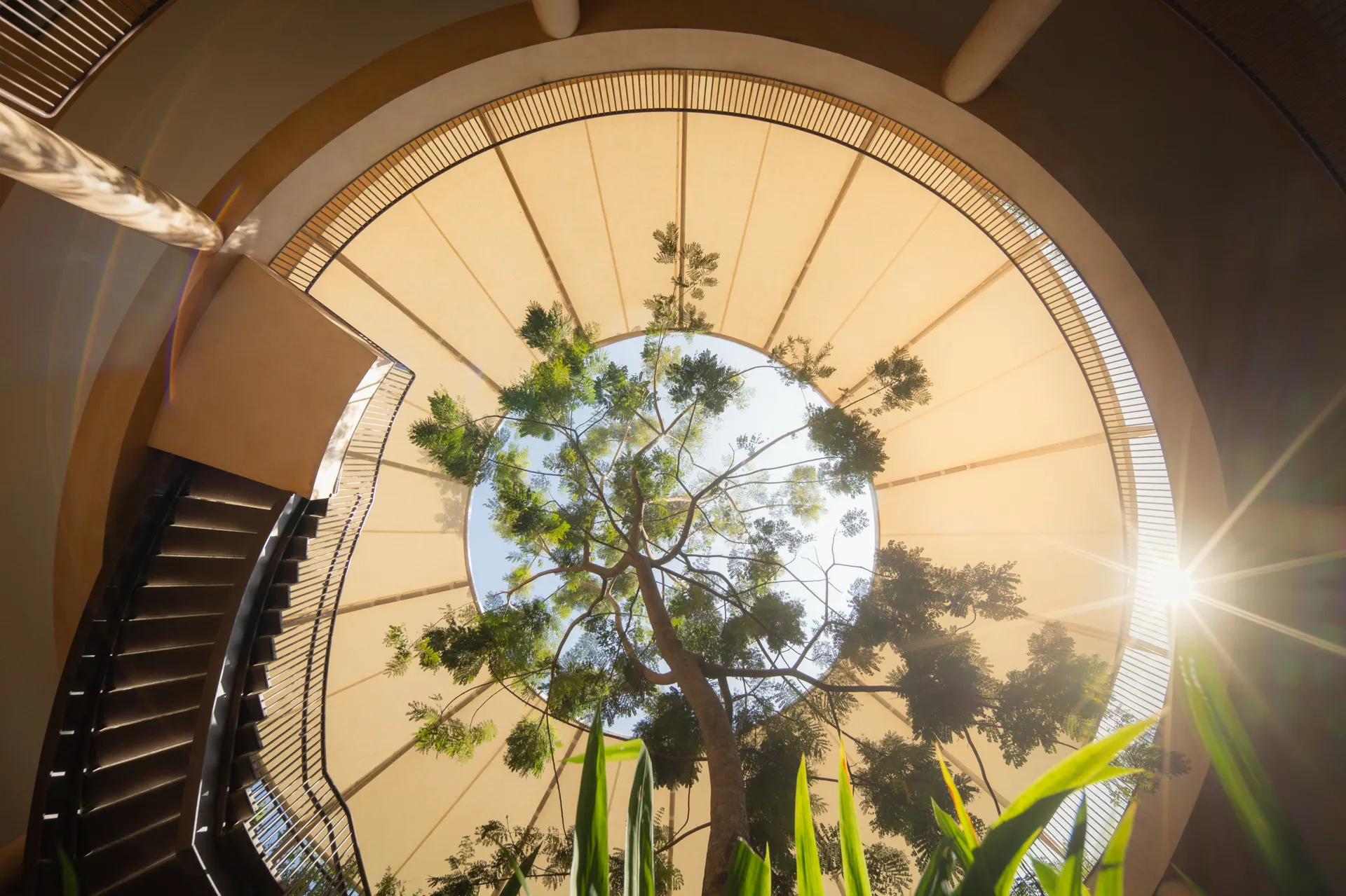 Copper Pod Sphere | Courtyard