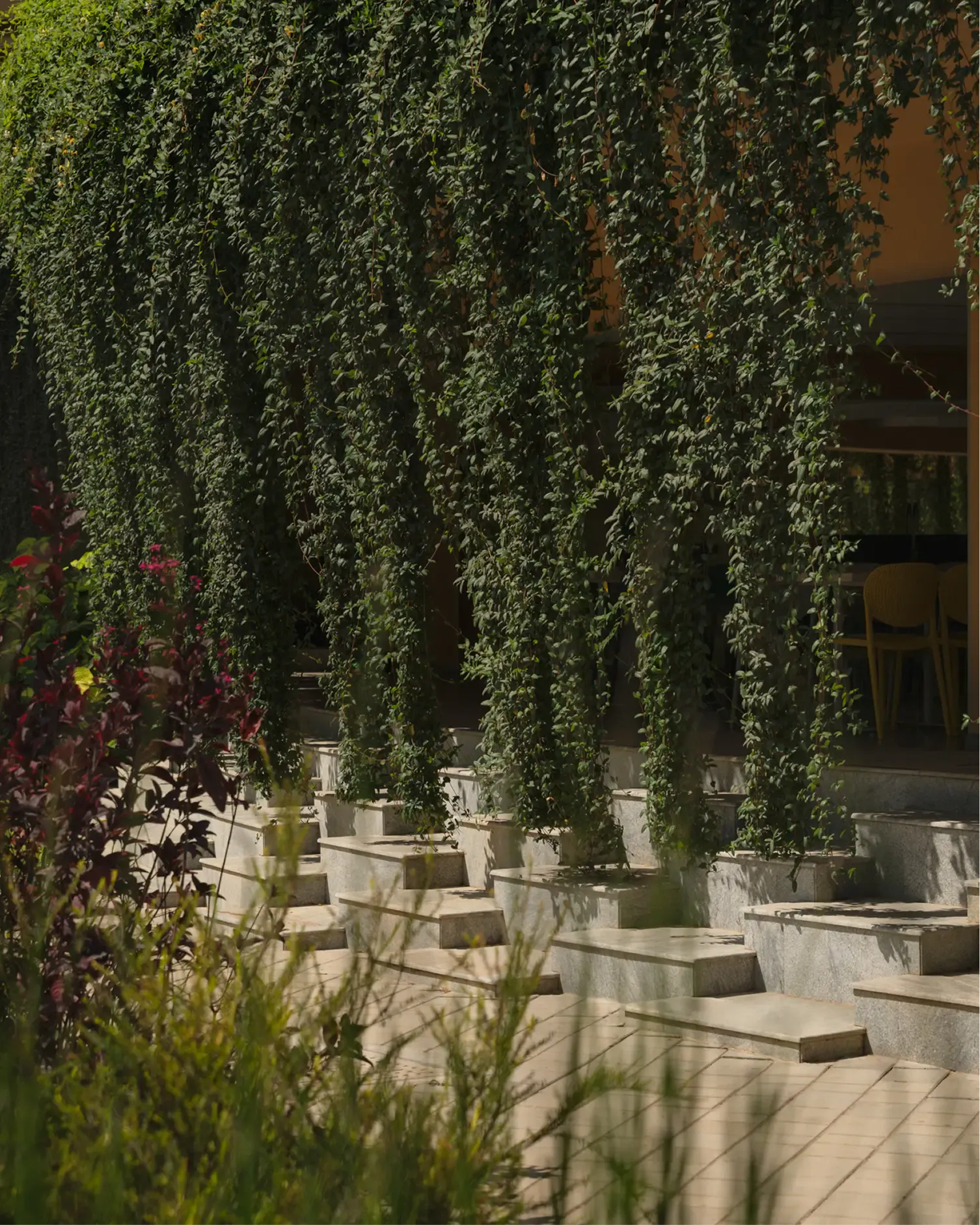 Cafeteria outdoor seating