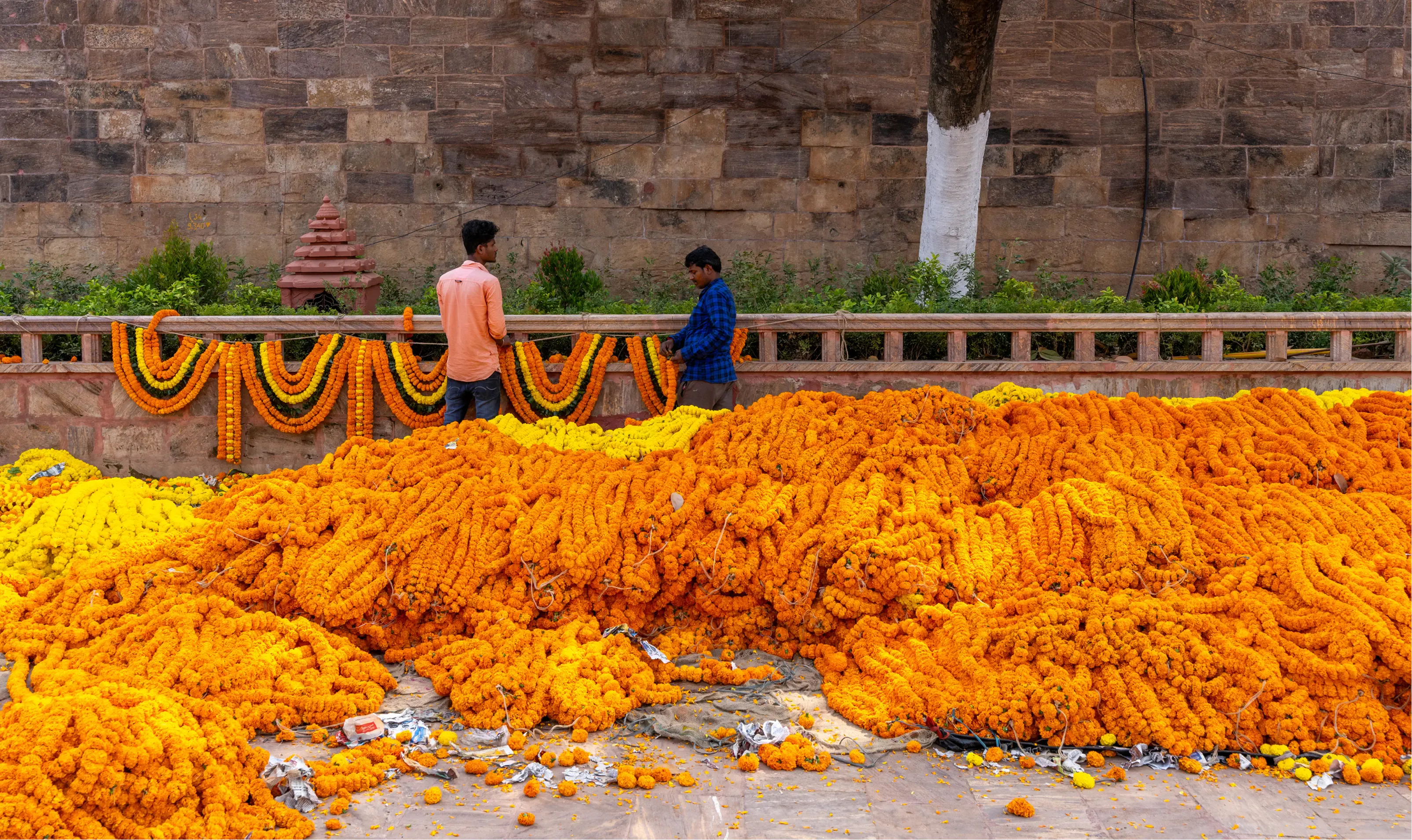 Daily ceremonial preparations