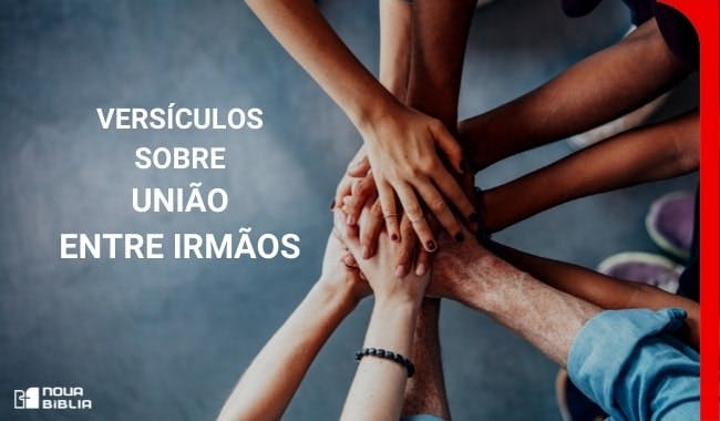 Versículos Sobre União Dos Irmãos Bíblia Online 