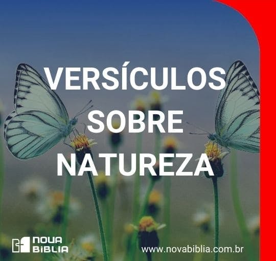 Versículos sobre Natureza - Nova Bíblia Online