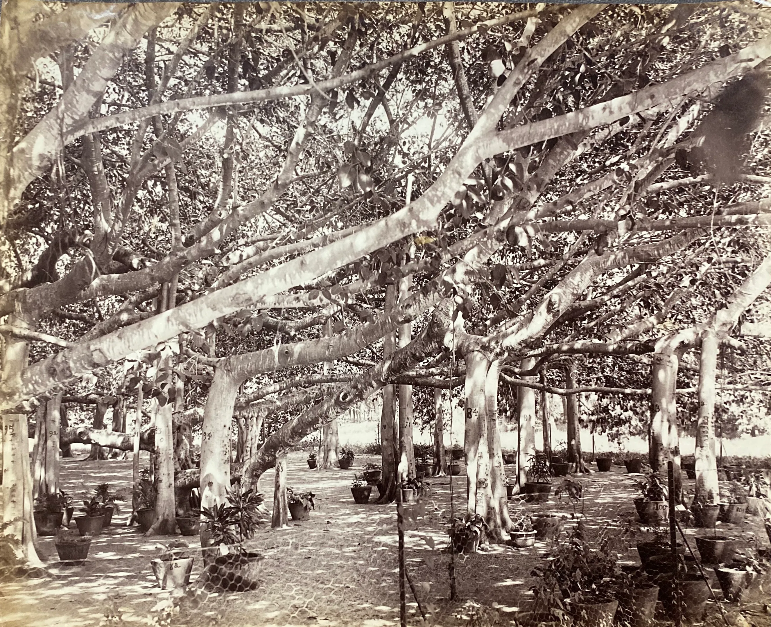 MADARAS (CHENNAI)