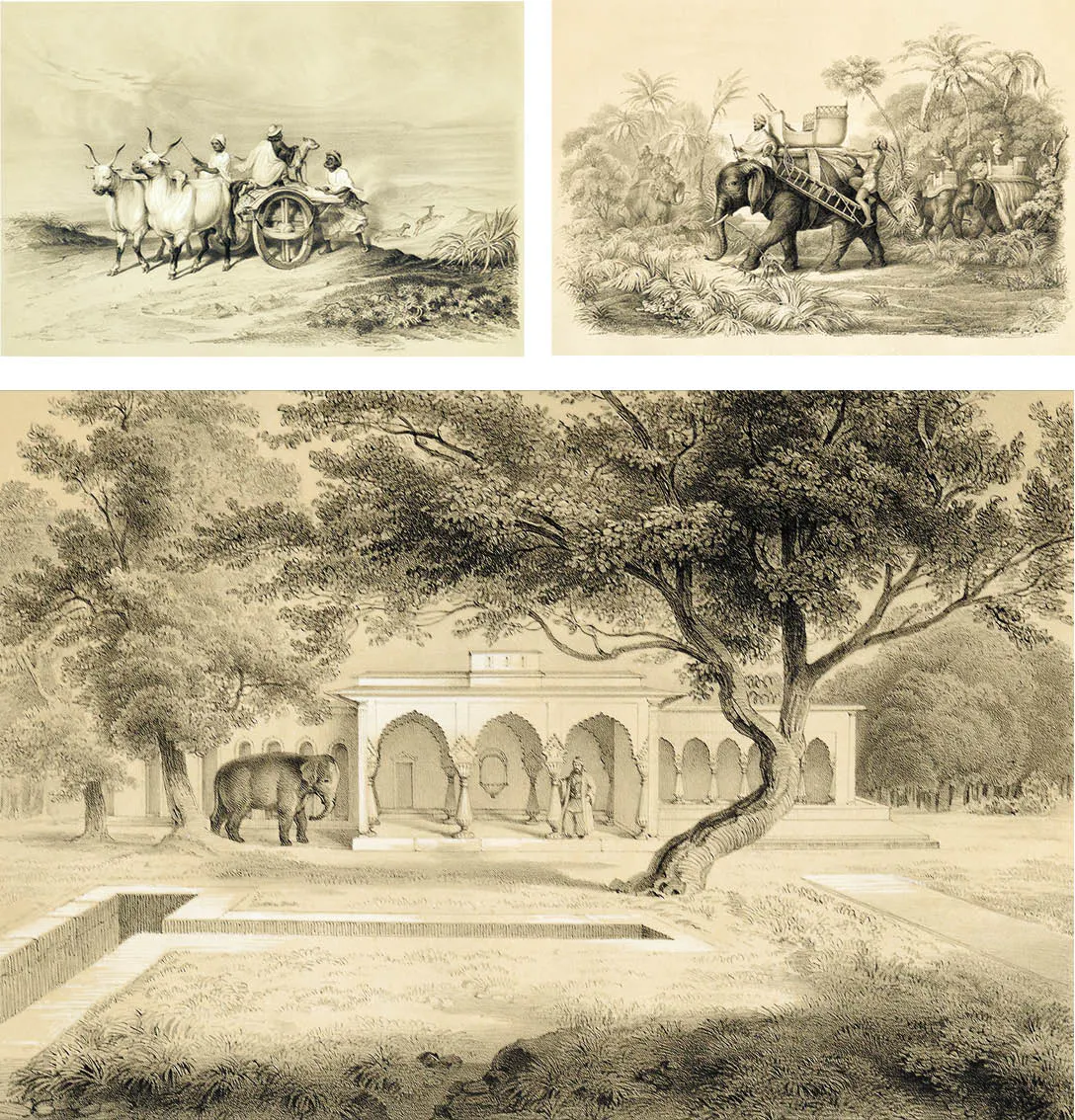 Three different depiction of Indian Elephants, Carts etc