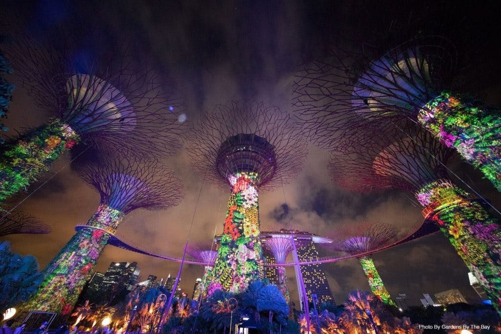 Projection mapping on the iconic Sky Trees in Gardens by the Bay.Photo credits: Gardens by the Bay.