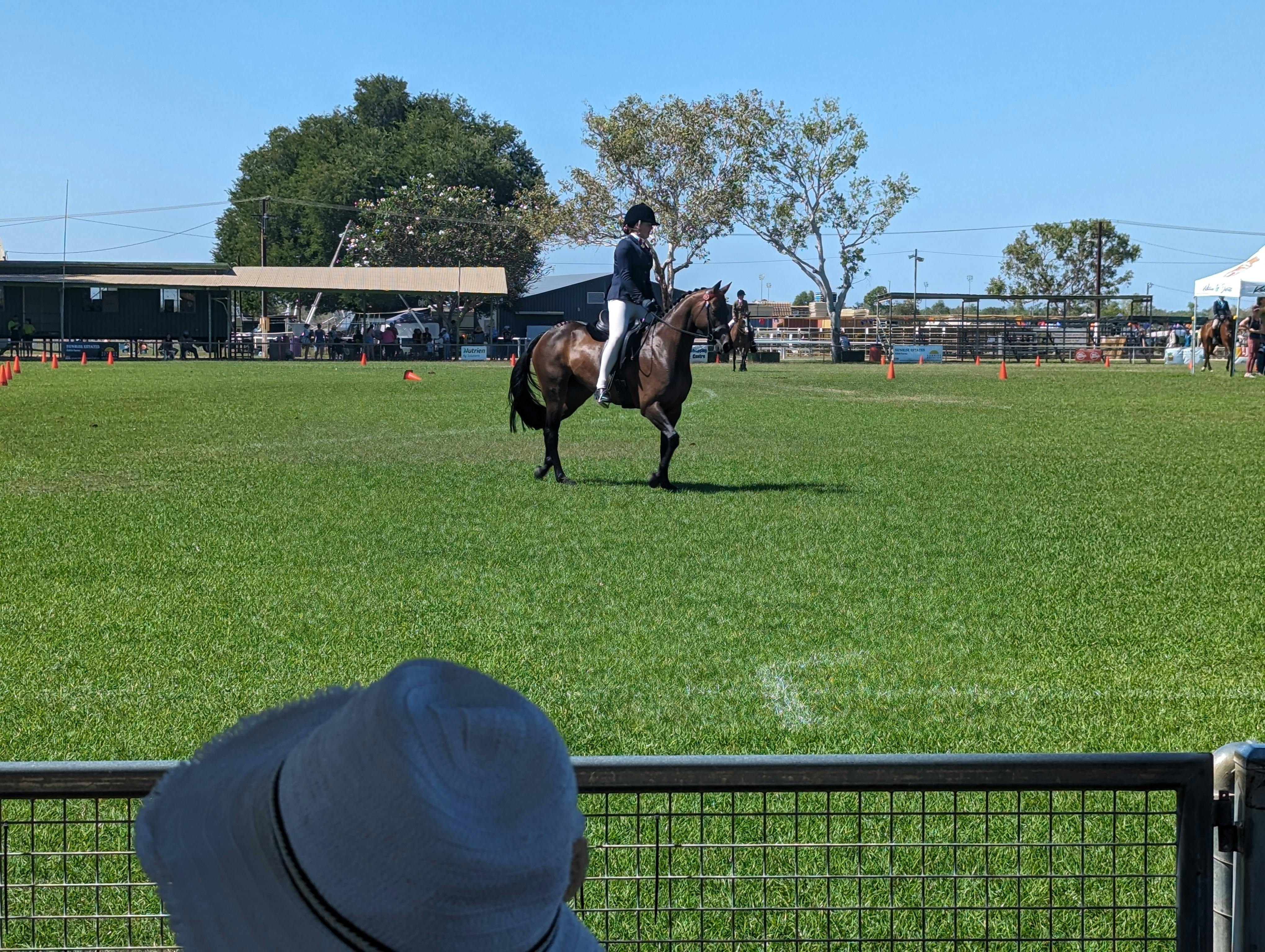 We had no real idea what was going on but the horses sure did look pretty!