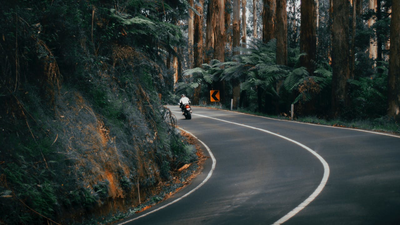 A motorcyclist driving through a vast wilderness