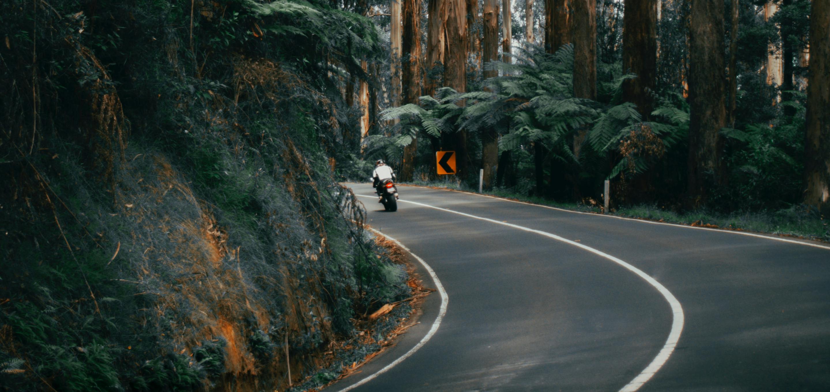 A motorcyclist driving through a vast wilderness