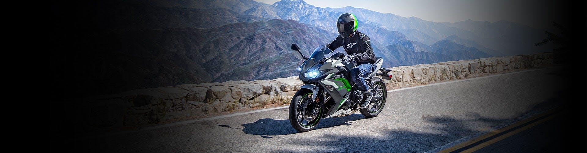 Kawasaki Ninja 650L SE in Pearl Robotic White with Metallic Carbon Gray colour