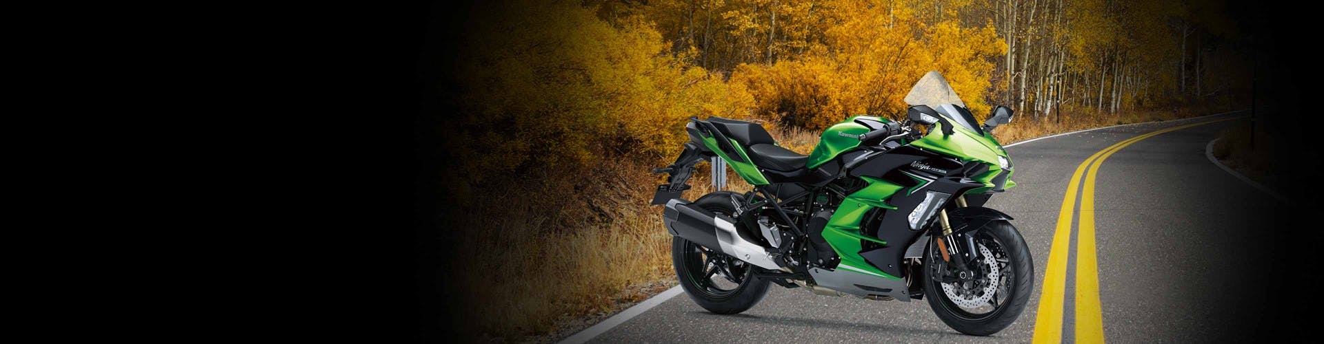 Kawasaki Ninja H2 SX in Emerald Blazed Green / Metallic Diablo Black / Metallic Graphite Gray colour