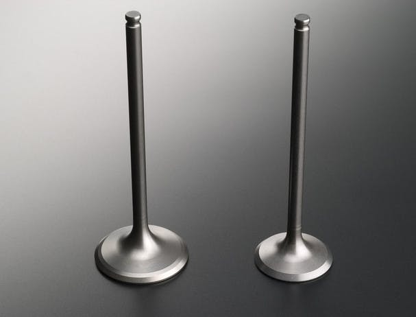 SUZUKI HAYABUSA titanium valves