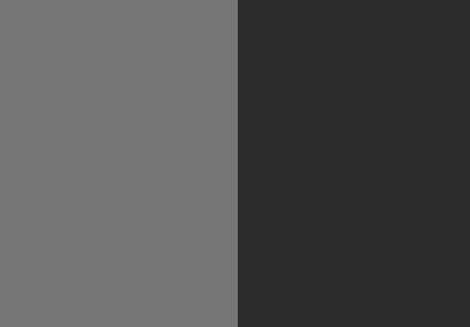 Metallic Phantom Silver / Metallic Carbon Gray