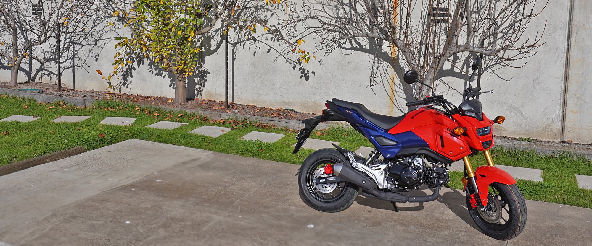 Honda GROM in Gayety Red colour, parked