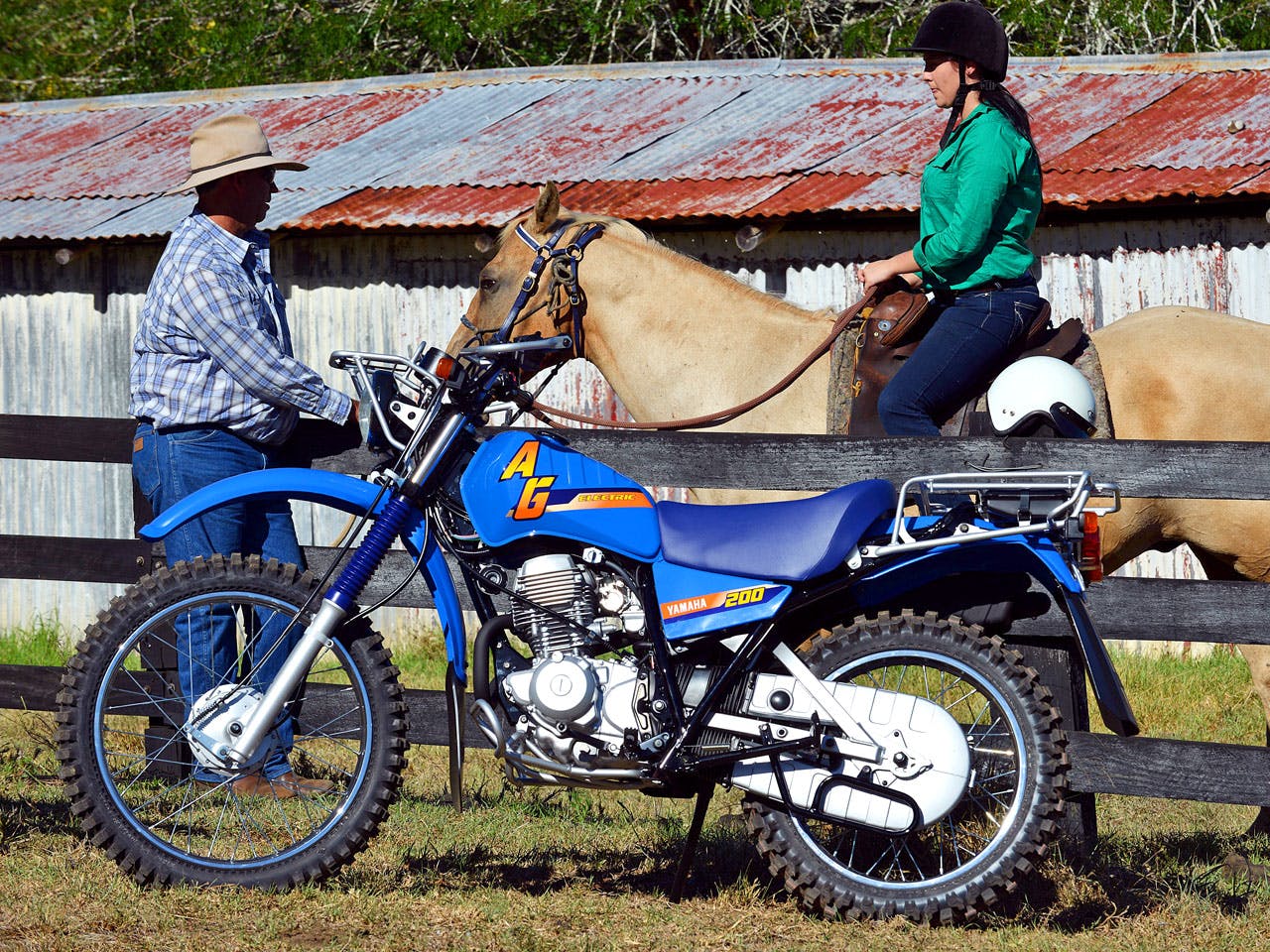 Yamaha AG200F parked in front of a horse on a farm