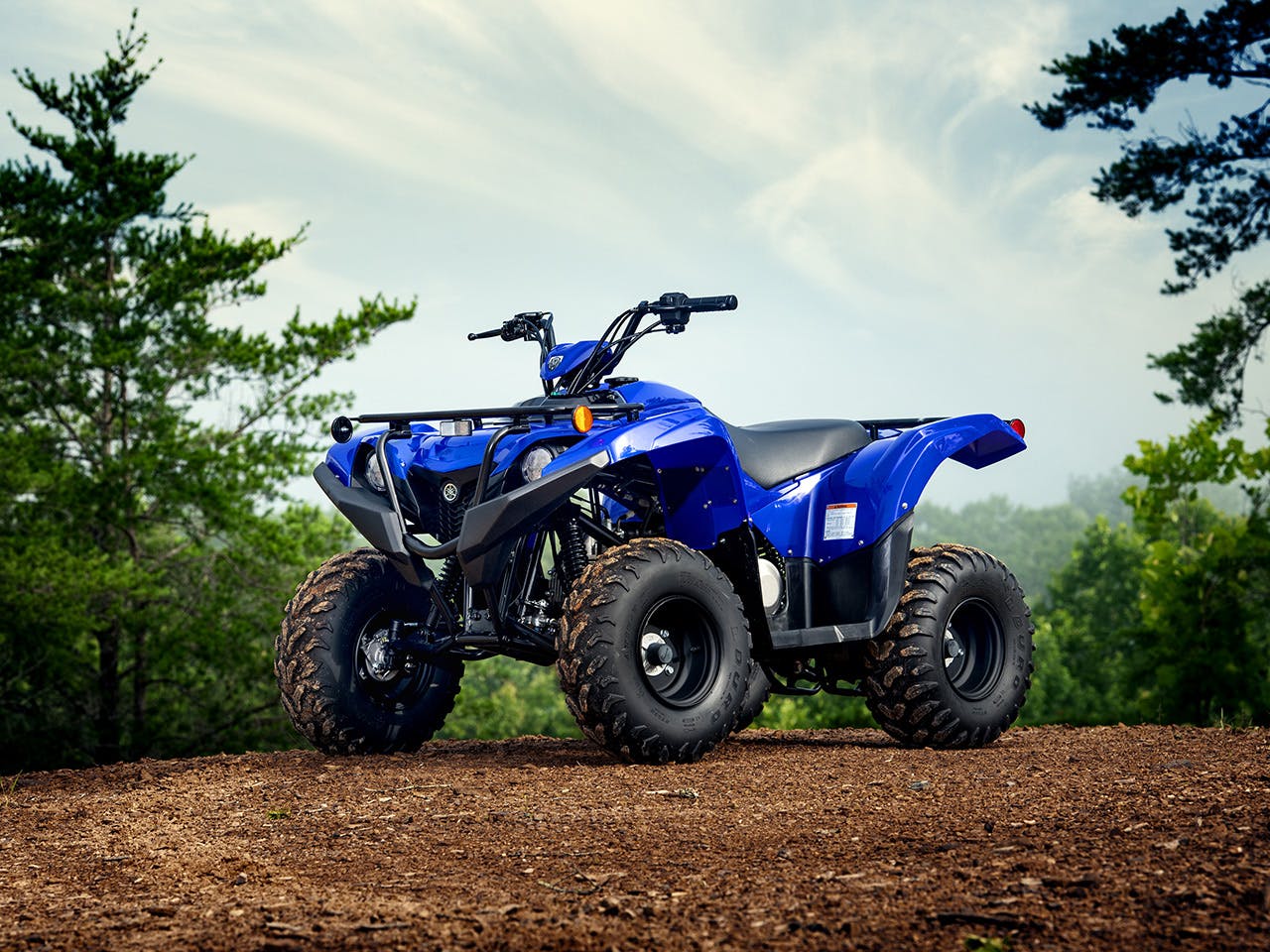 Yamaha Grizzly 90 in Steel Blue colour, being ridden off-track