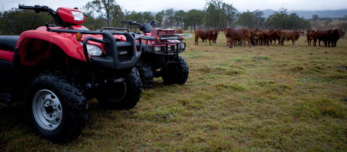 Honda TRX680FA, parked in the farm