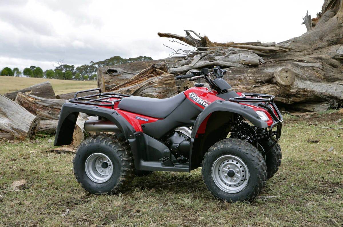 SUZUKI KINGQUAD 300 4x4 parked in a farm