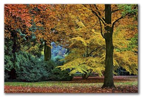 Herbst im Park — Autumn in the park