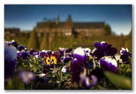 Frühling im Klostergarten  ~~  Spring in the monastery garden