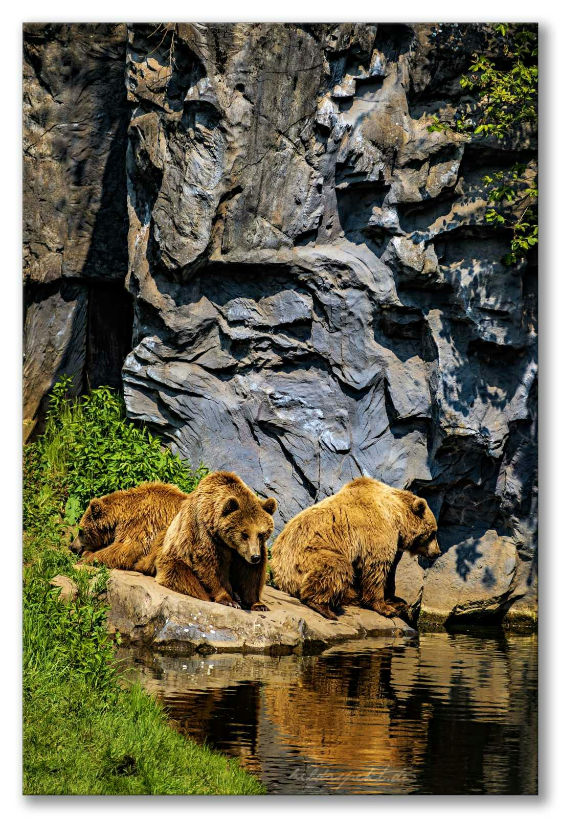 In der Bärenschlucht  ~  In the Bear Gorge