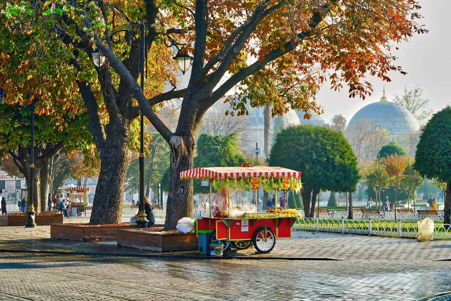 İstanbul Doğası