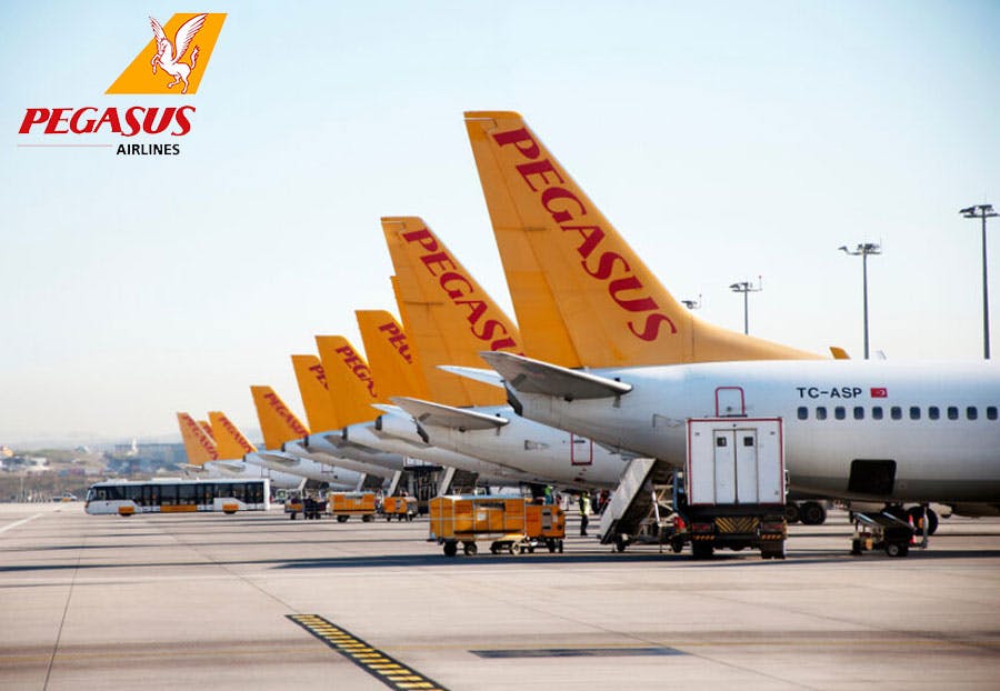 Pegasus Havayolları