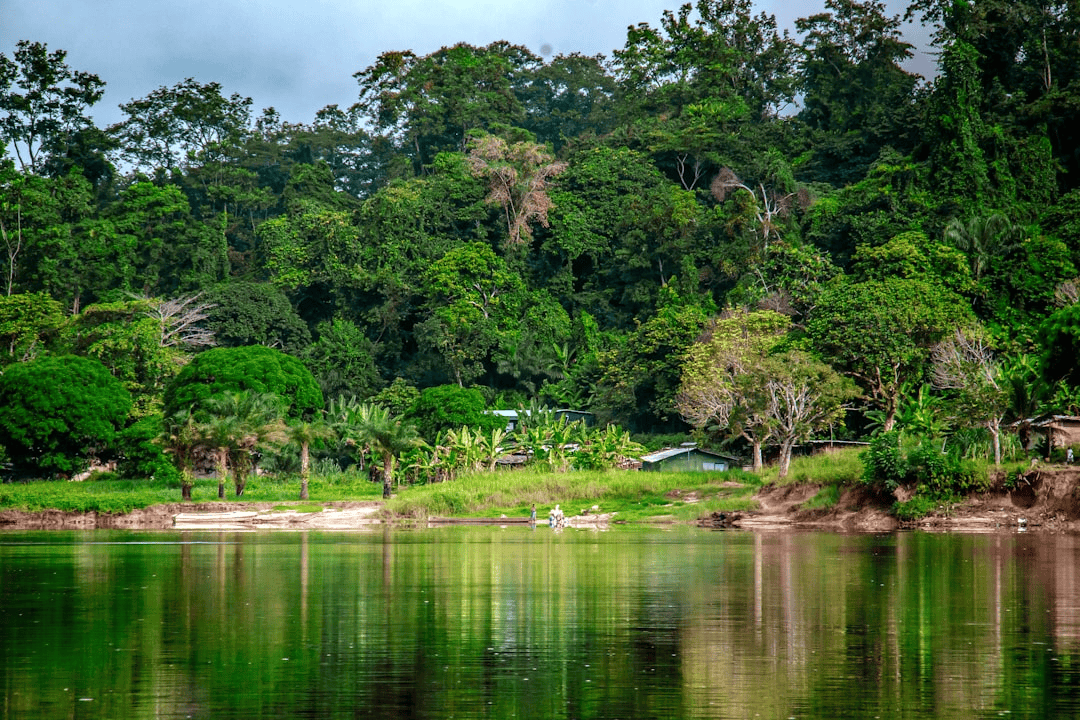Gabon Gezilecek Yerler