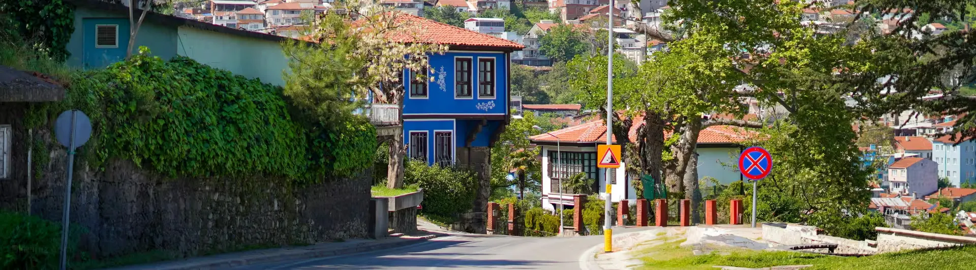 Bursa'da yamaca kurulu bir sokak ve mavi cepheli apartman, Ankara - Bursa otobüs bileti kapak görseli