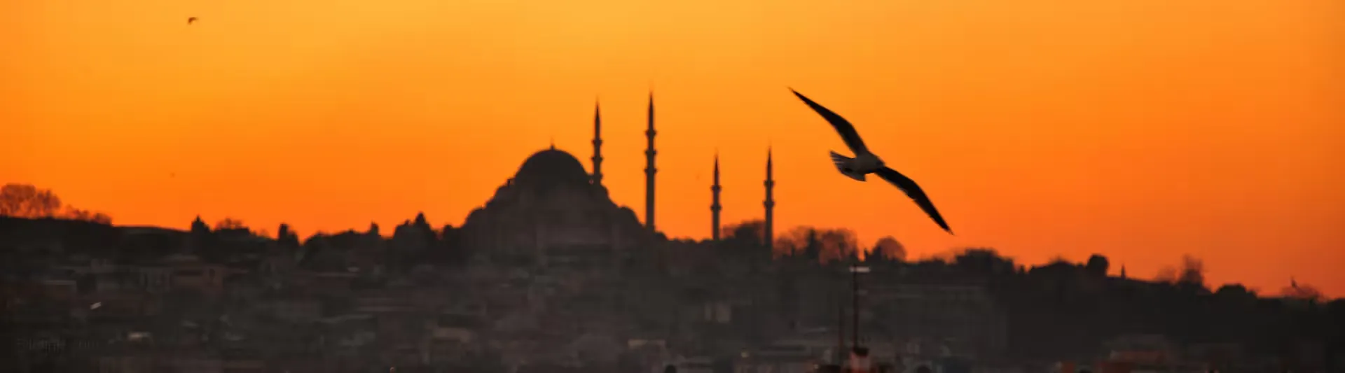 Gün batımında turuncu gökyüzüne karşı Eminönü silueti, Gaziantep - İstanbul otobüs bileti kapak görseli