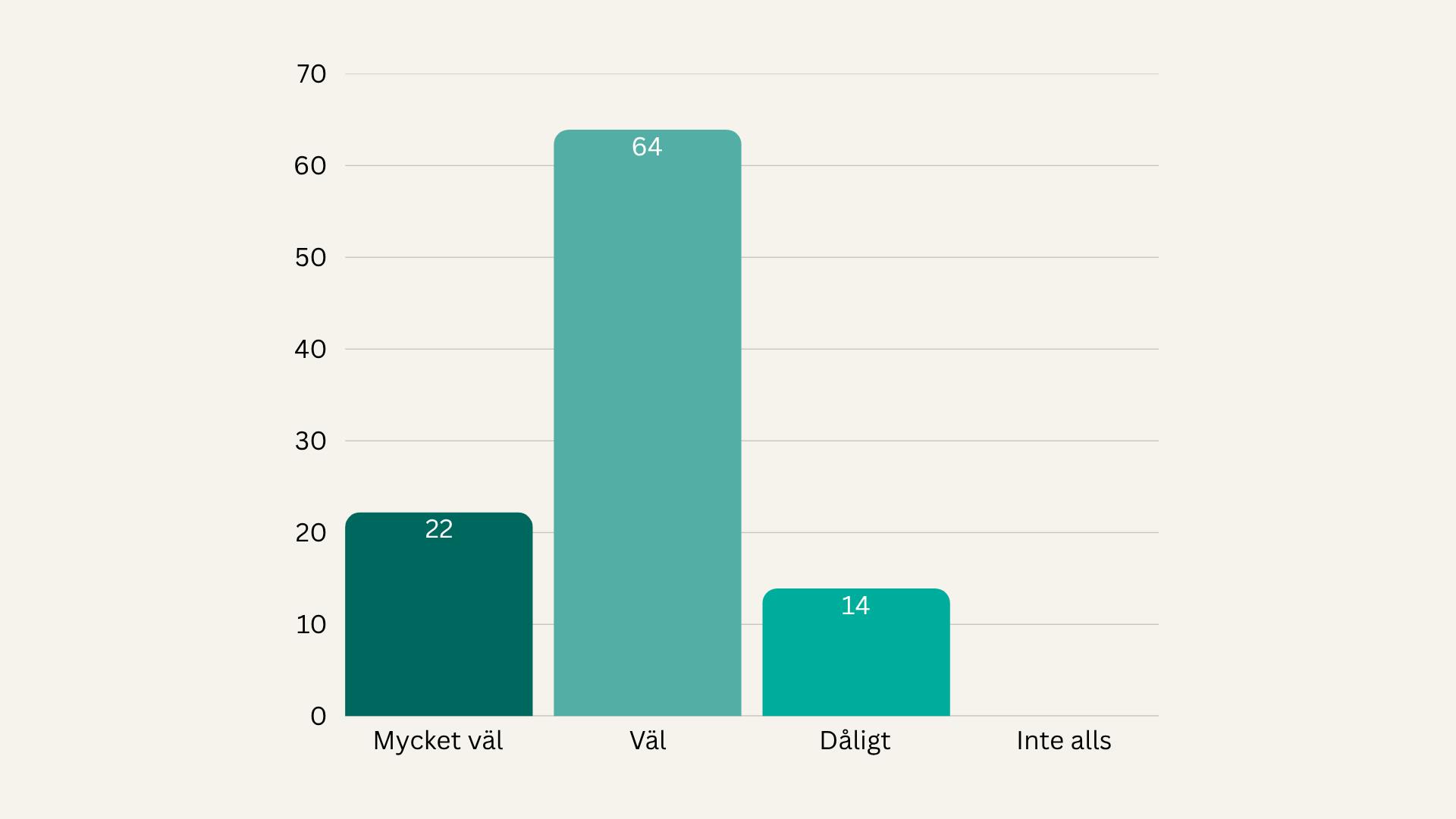 Hur väl förstod du lånevillkoren?