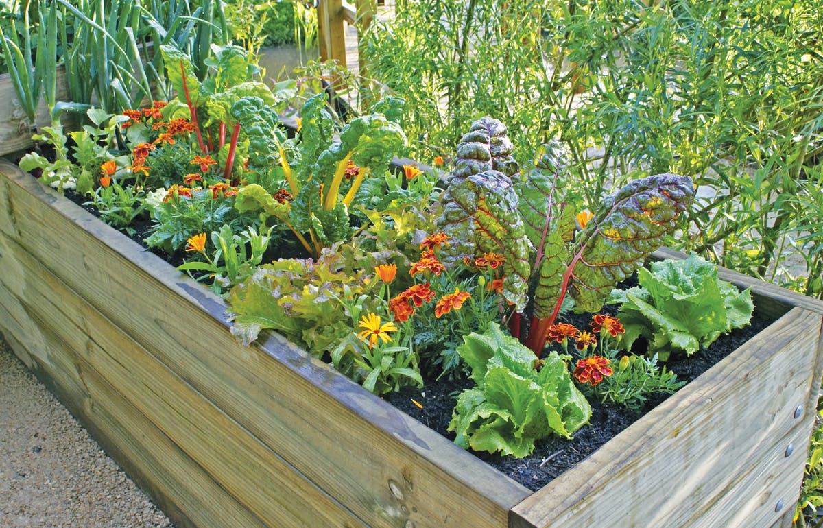 Les tendances pour enjoliver sa cour cet été: les jardins comestibles Un jardin comestible