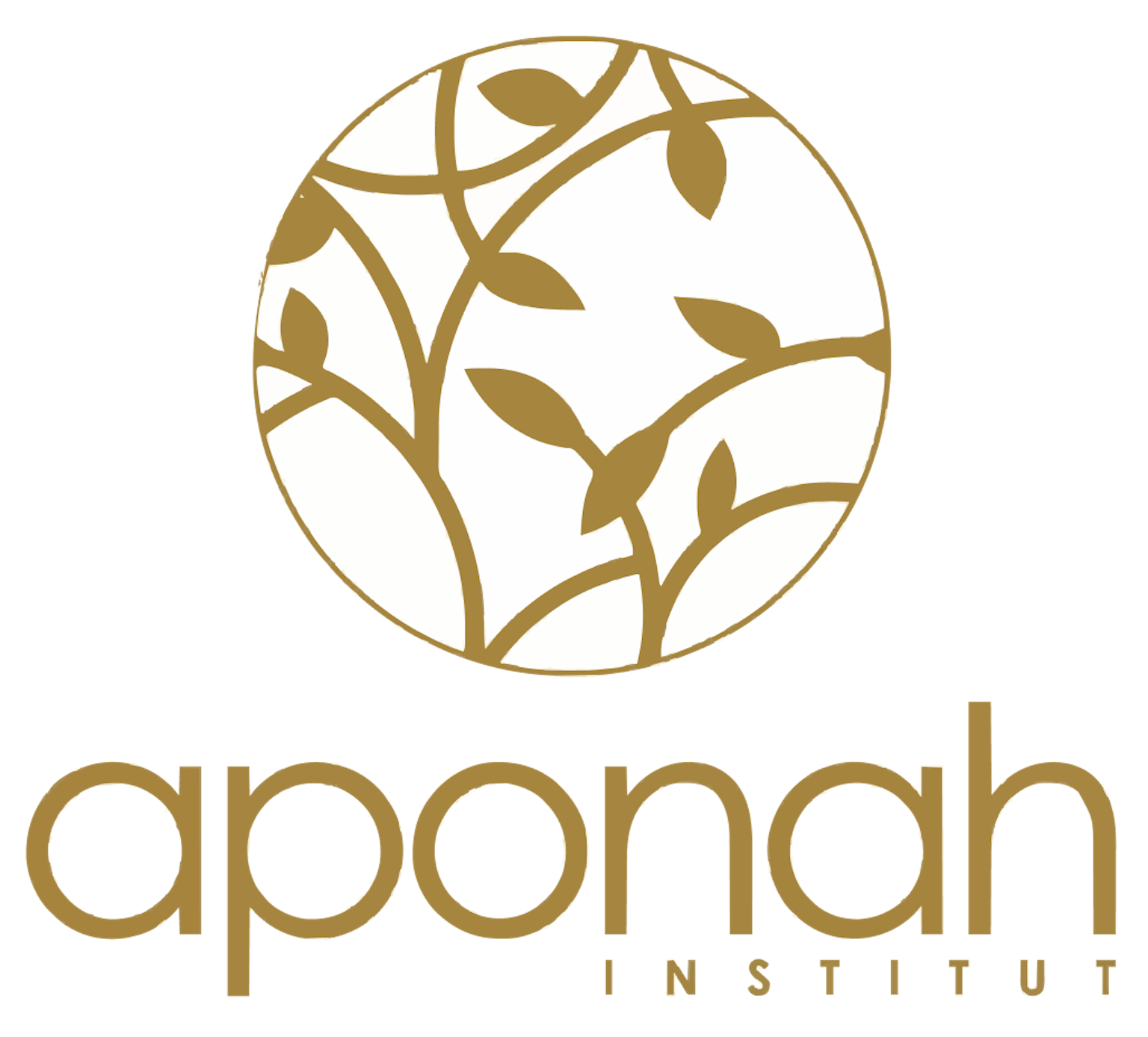 Logo Aponah 