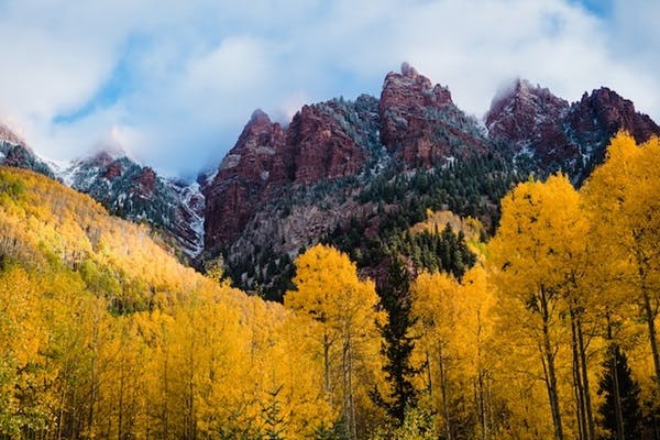 Mountains and trees in Colorado