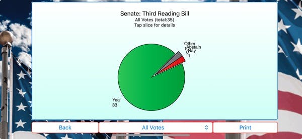 A chart showing the breakdown of votes