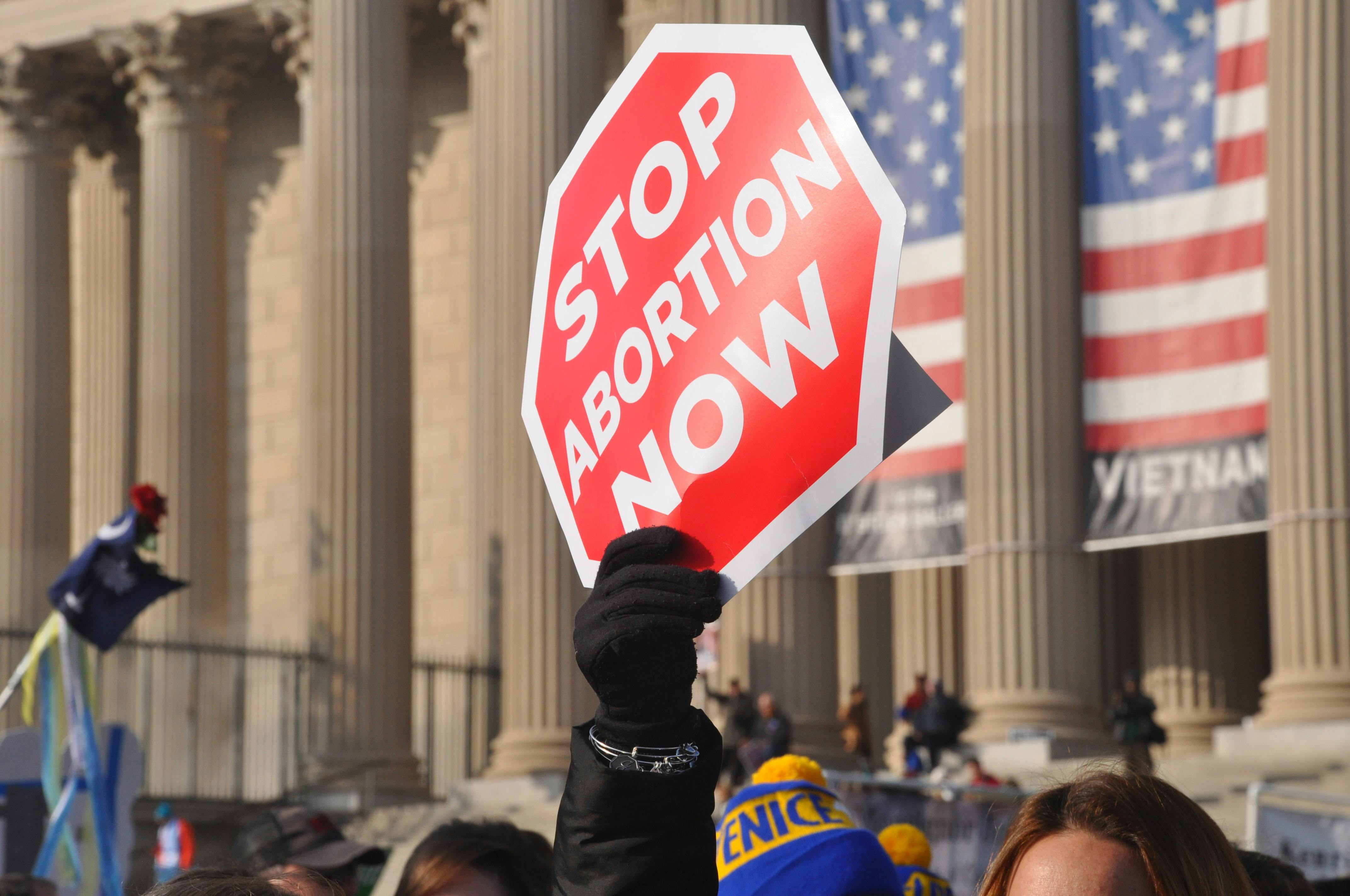 sign saying "stop abortion now" - Photo by Maria Oswalt on Unsplash