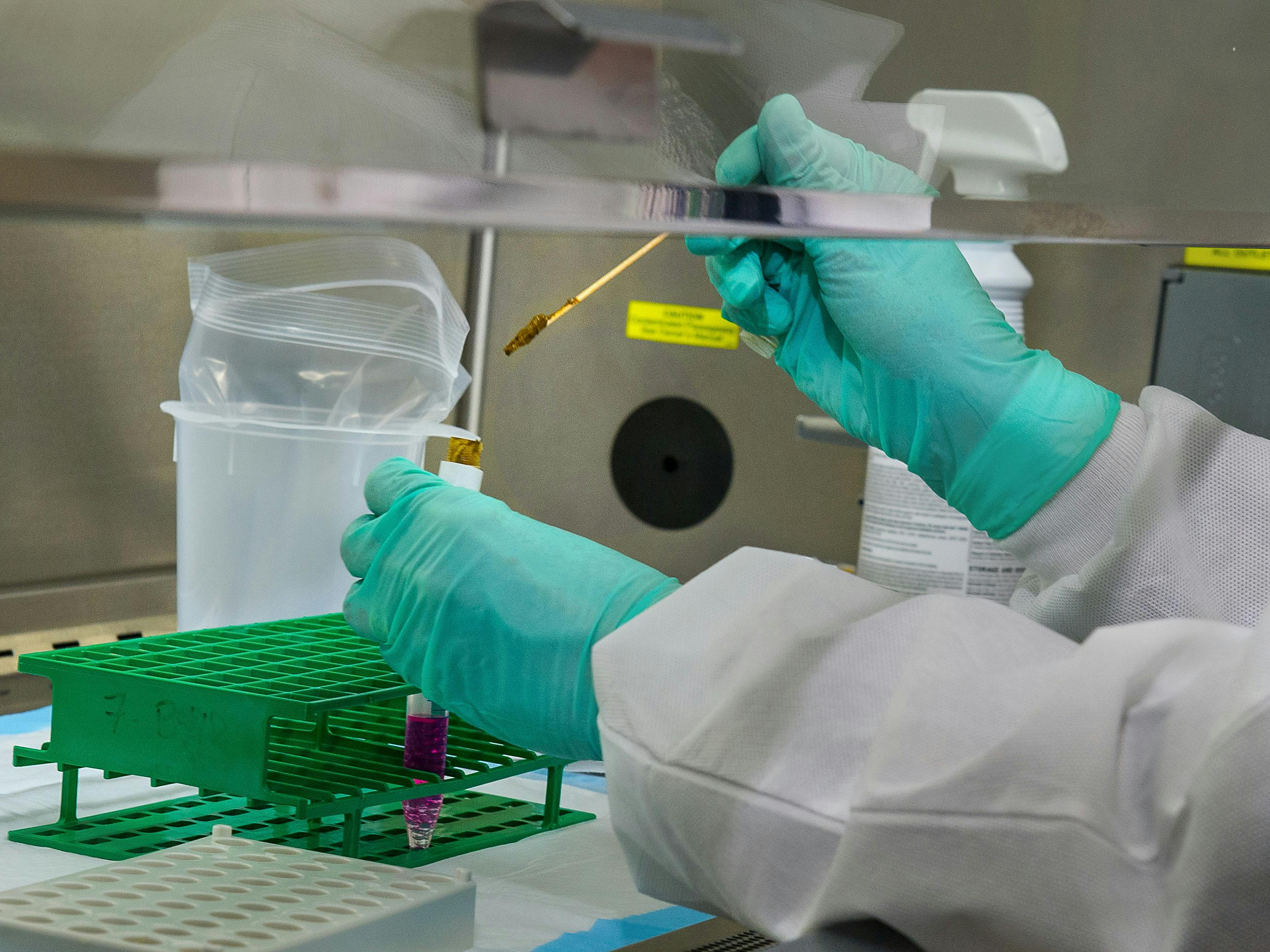 scientist doing test in a laboratory - Photo by CDC on Unsplash