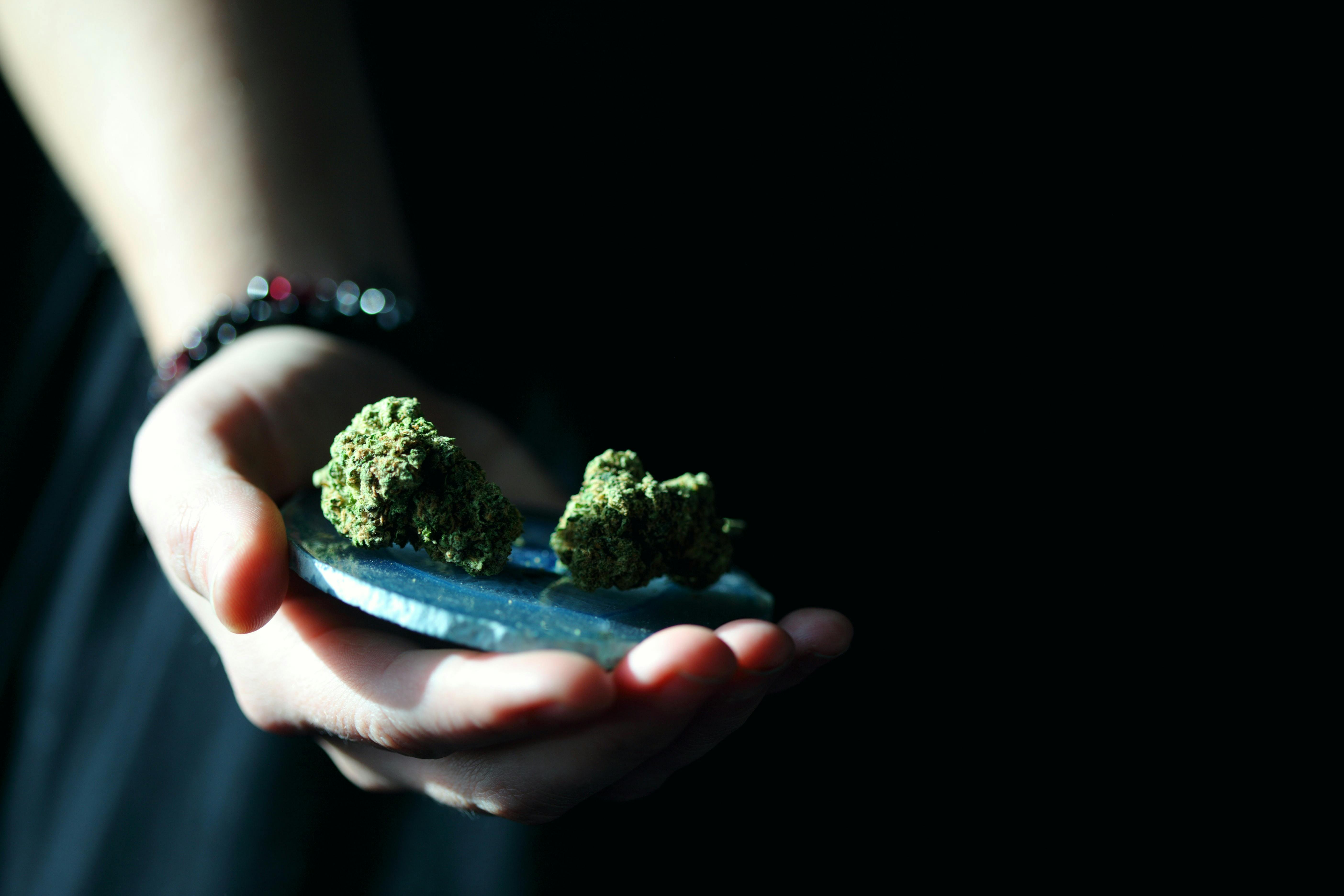 person holding marijuana - Photo by Alexander Grey on Unsplash