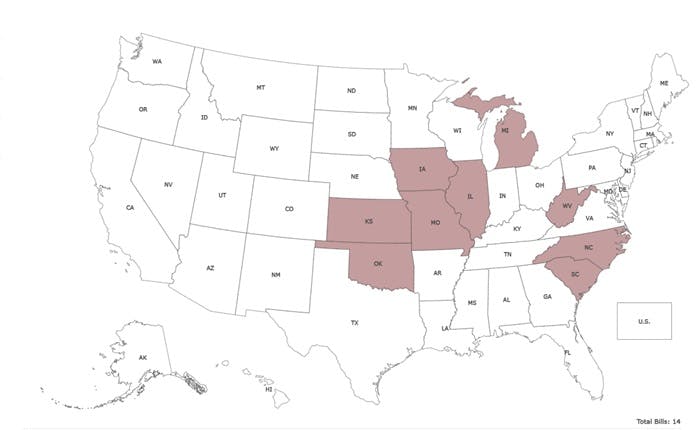 States with age verification legislation in 2024