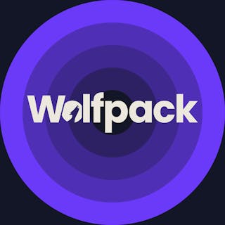Billy Regnskabsprogram integrerer med Wolfpack