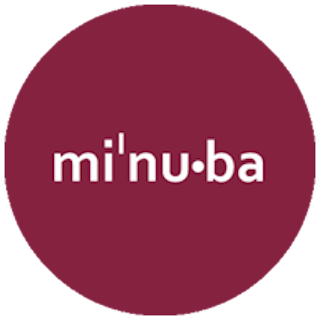 Billy Regnskabsprogram integrerer med Minuba