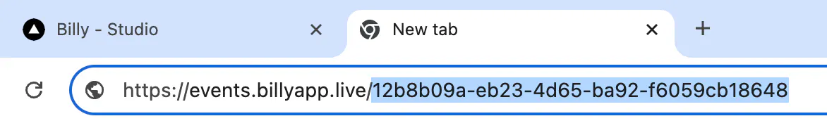A published sales channel URL with the Sales Channel ID at the end