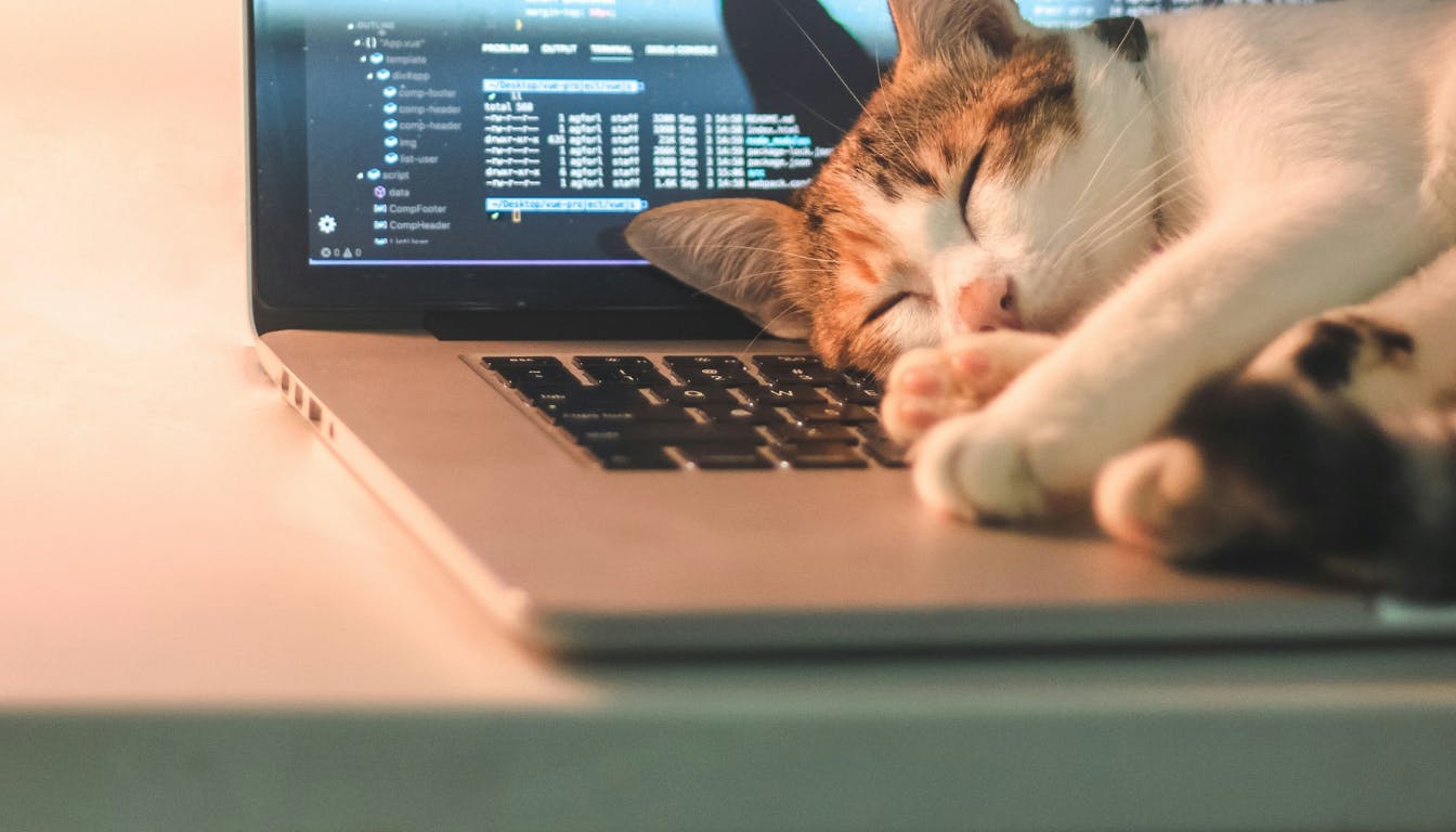 PHP 8.5 in Laravel 12: The Quiet Upgrade That Actually Matters